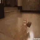 [Tom & Jerry the movie]Mov 1