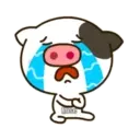 Animalitos3🌈🌸.MOV 16