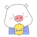 Little Pig Blue.MOV 1
