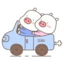 Little Pig Blue.MOV 11