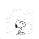 SNOOPY 4 mov. 21
