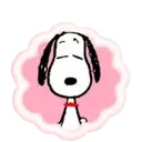 SNOOPY 4 mov. 20