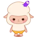 cute sheep  MOV 1
