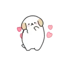 𖦹🧁𖦹🌿MY DOG CUTImov🌸𖦹🧁𖦹 7