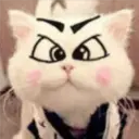 Gestos Funny Cat 16