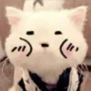 Gestos Funny Cat 29