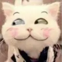 Gestos Funny Cat 14