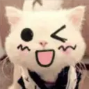Gestos Funny Cat 27