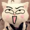 Gestos Funny Cat 17