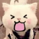 Gestos Funny Cat 10
