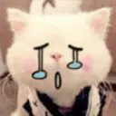 Gestos Funny Cat 6