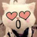 Gestos Funny Cat 22