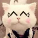 Gestos Funny Cat 15