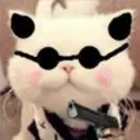 Gestos Funny Cat 2