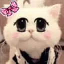Gestos Funny Cat 25