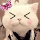 Gestos Funny Cat 8