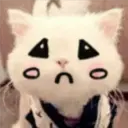 Gestos Funny Cat 4