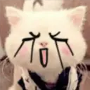 Gestos Funny Cat 24