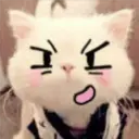 Gestos Funny Cat 28