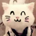 Gestos Funny Cat 5