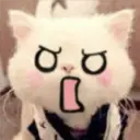 Gestos Funny Cat 13