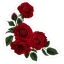 For Her 1