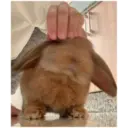 HUNGRY BUNGRY 23