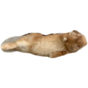HUNGRY BUNGRY 19