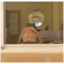 HUNGRY BUNGRY 2