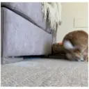 HUNGRY BUNGRY 1
