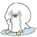 🦆💕Lovely duckly🦆💕 3