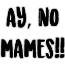 AY, NO MAMES!!