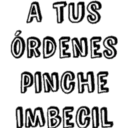 A TUS ÓRDENES PINCHE IMBECIL
