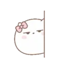 Pink Cute Cat (Mov) 12