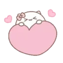 Pink Cute Cat (Mov) 13