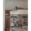 RenataRandelMyLove 1