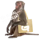ECO STICKERS 5