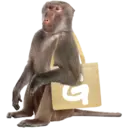 ECO STICKERS 11