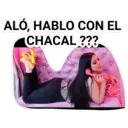 ALÓ, HABLO CON EL
CHACAL ???