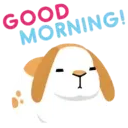 Good morning 14
