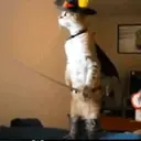 ❦El Zorro☙° ᭄ᨖ м๏√. 9
