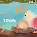 🎵Acróstico 🎼 Shakira 🐦 13