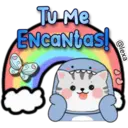 🦈✨Bebé tiburón ✨🦈 2