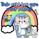 🦈✨Bebé tiburón ✨🦈 14