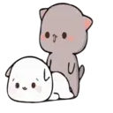 Gatinhos apaixonados 5