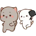 Gatinhos apaixonados 6