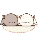 Gatinhos apaixonados 7