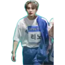 Stray K
리노