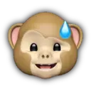 Macaco memoji 10
