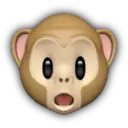 Macaco memoji 13